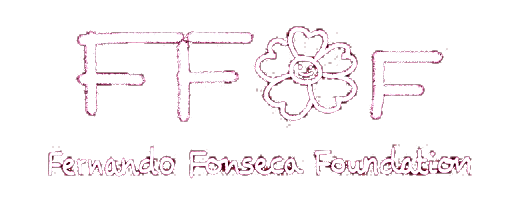 Fernando Fonseca Foundation